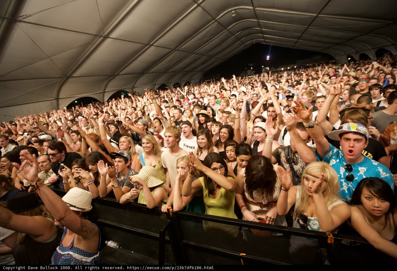 Coachella 2008 Crowd Goes Wild