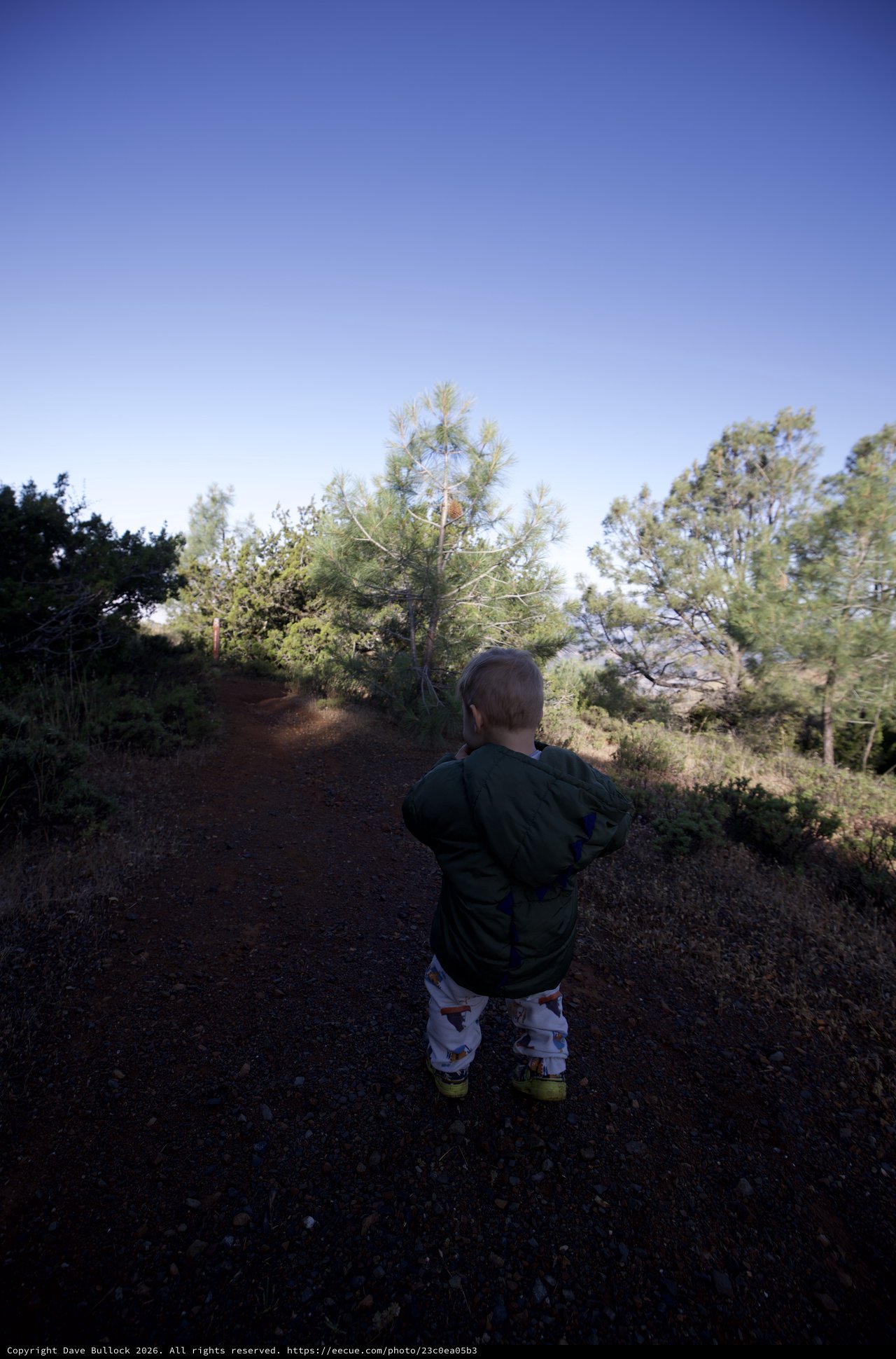 Young Explorer on a Sunlit Mountain Trail