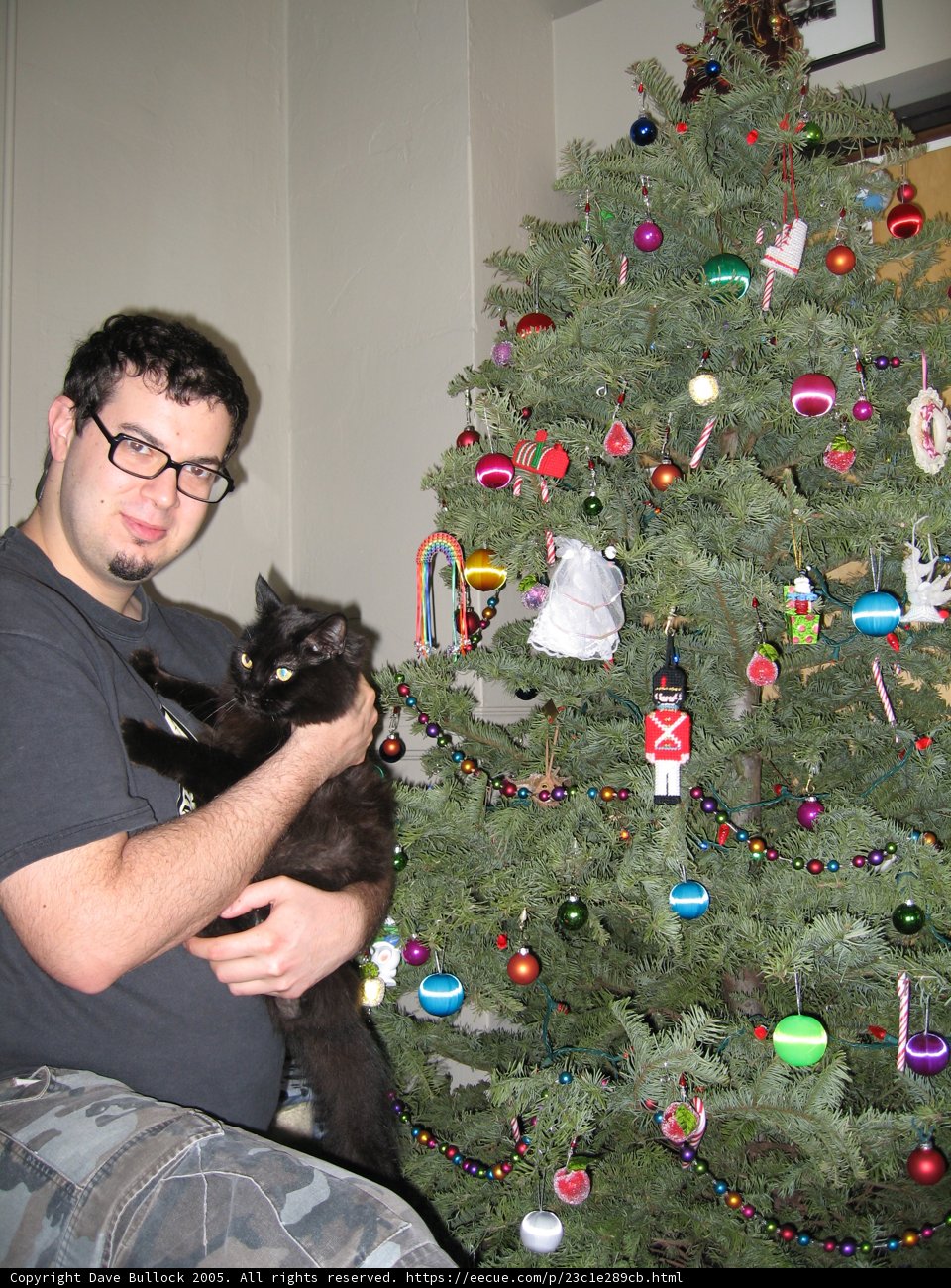 Dave B celebrates Christmas with his feline friend