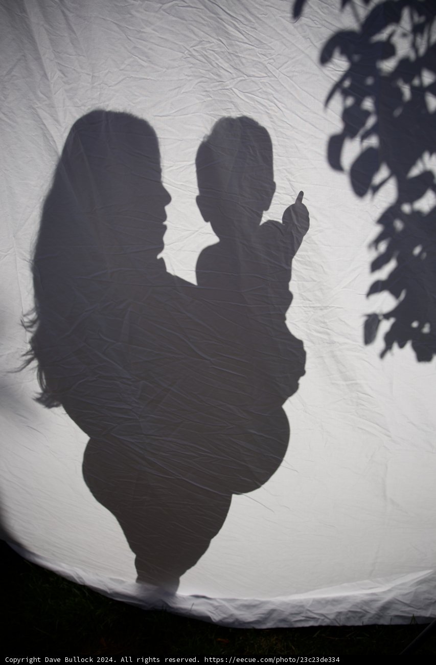 Shadows of New Beginnings
