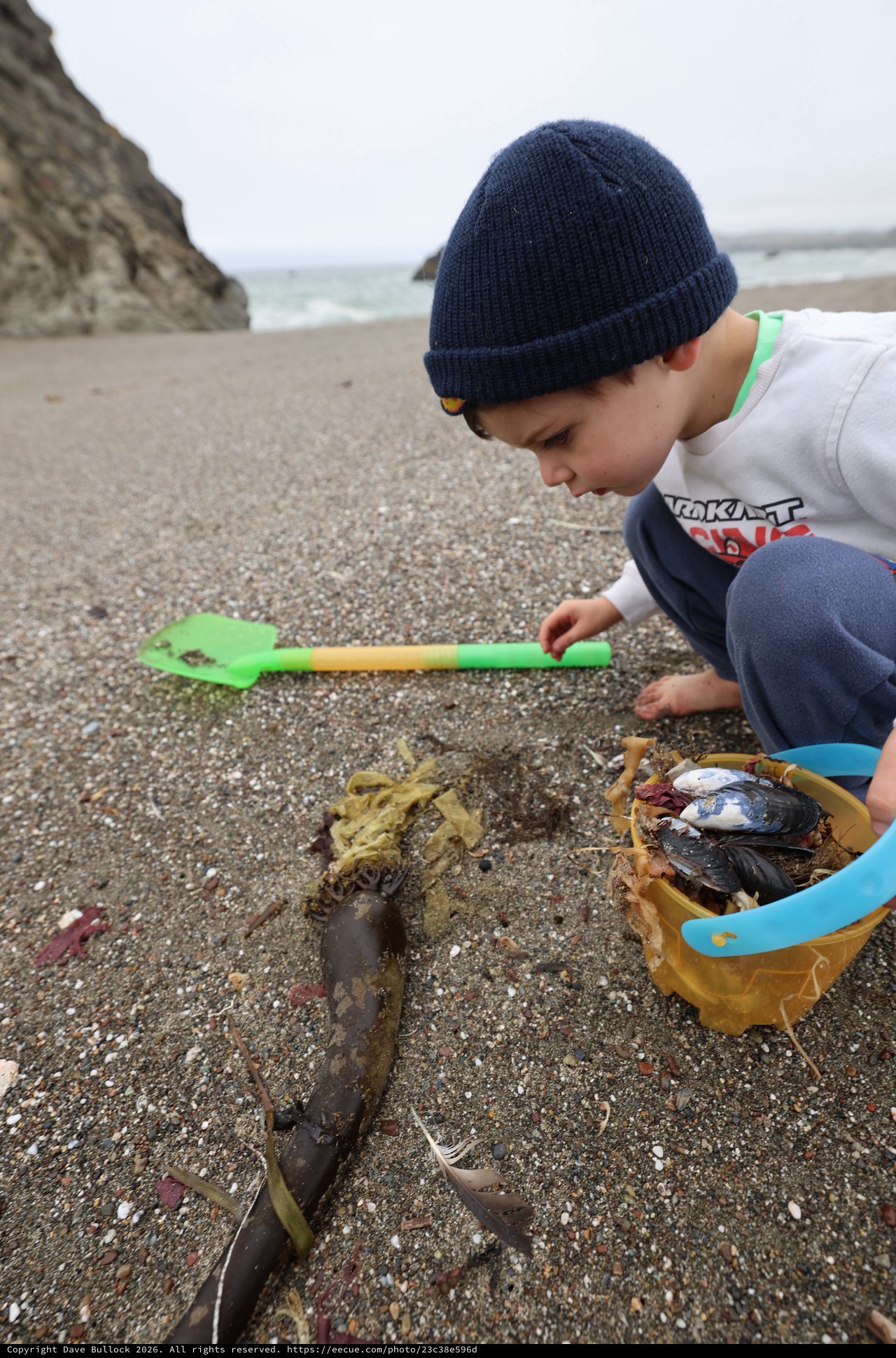 Young Explorer Discovers Ocean Treasures on Foggy Beach