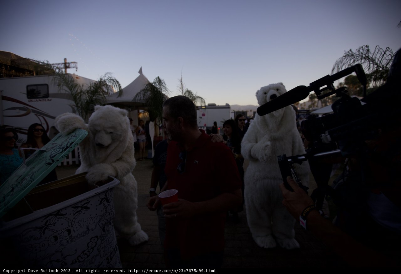 Man and Polar Bear