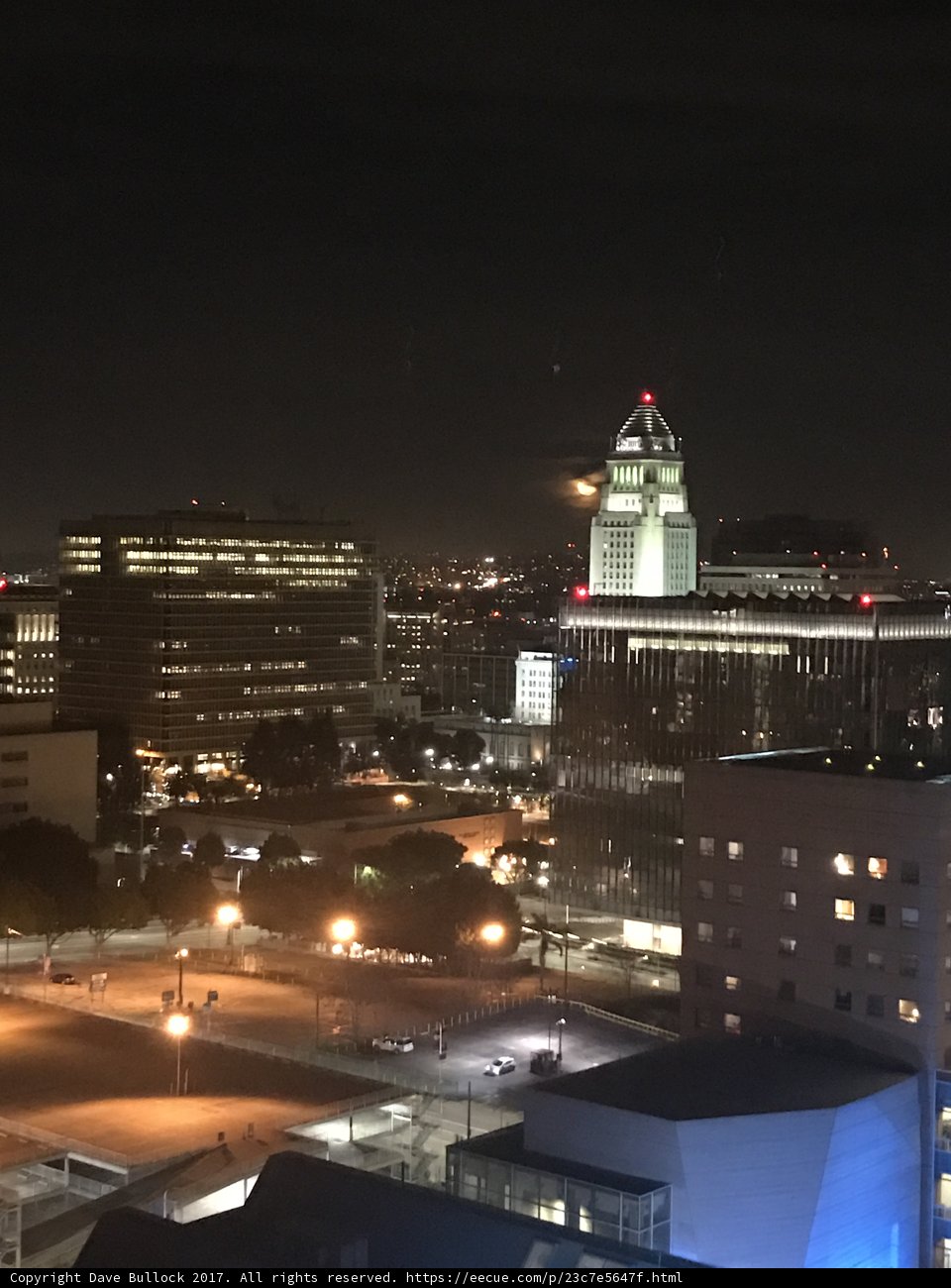 City Lights Illuminate the Metropolis