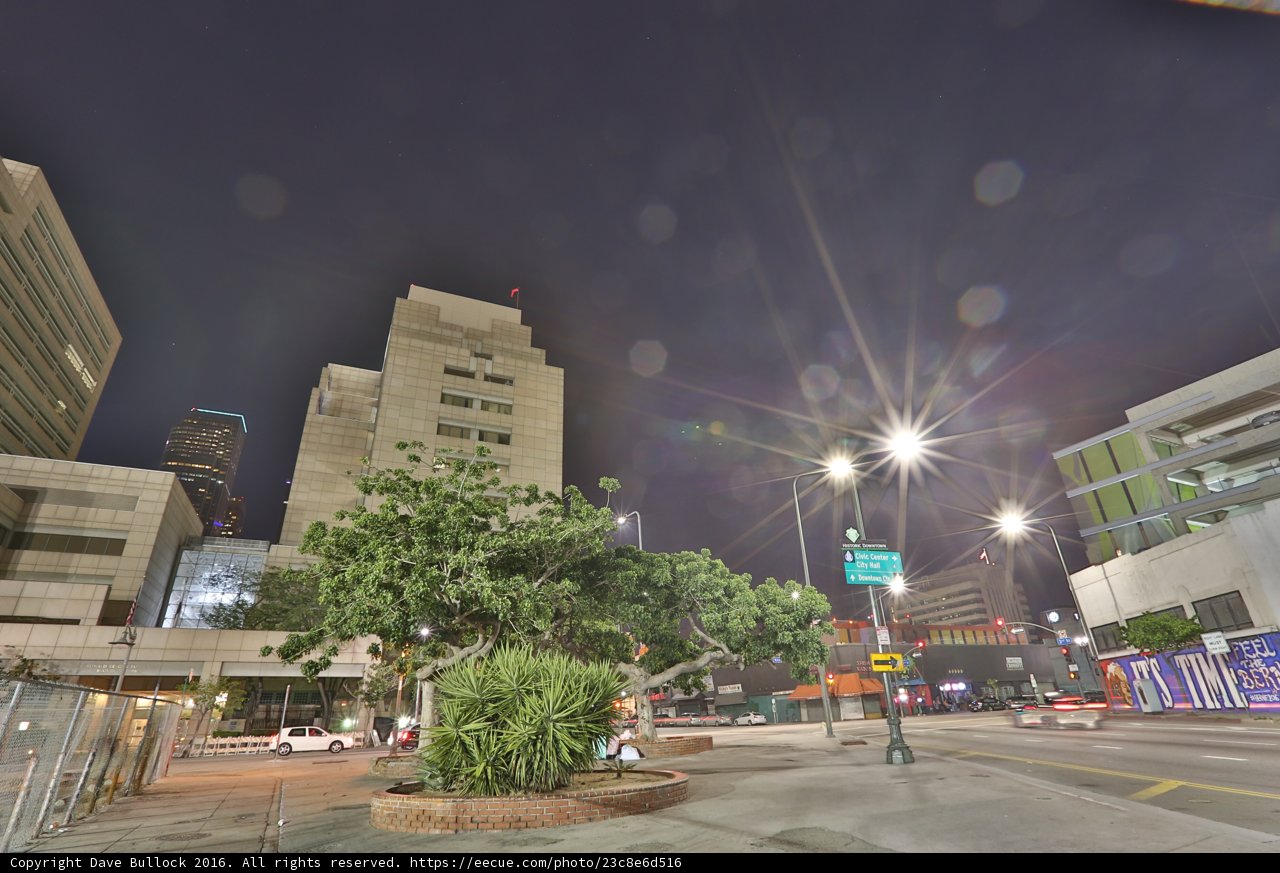 Night Cityscape with a Majestic Tree