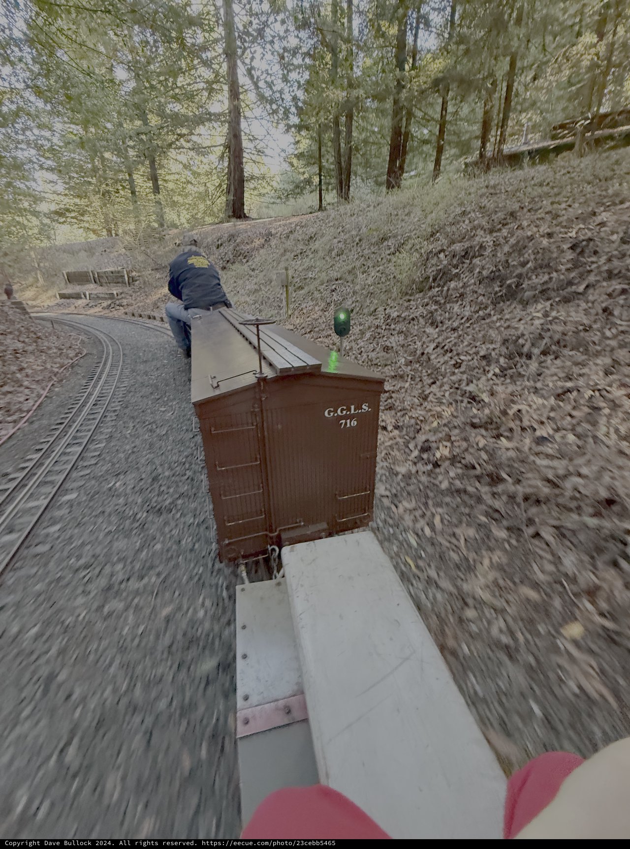 Vintage Narrow Gauge Railway Through Forest
