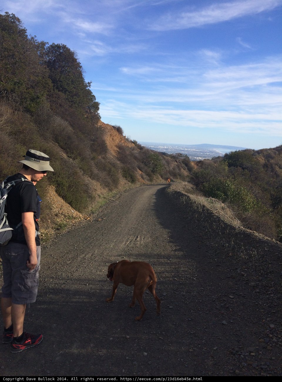 Man and Dog Enjoying a Walk on a Dirt Road