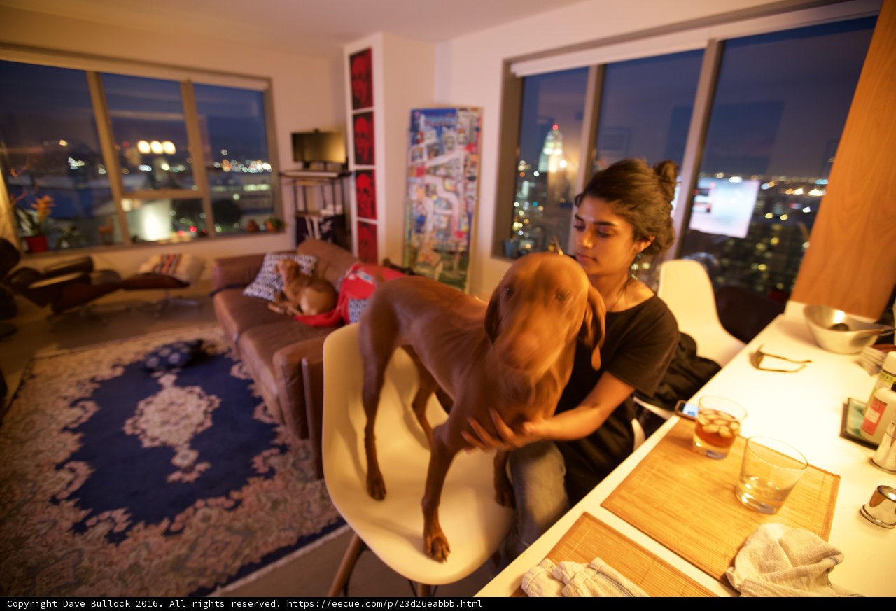 Woman and her Furry Companion on a Cozy Couch