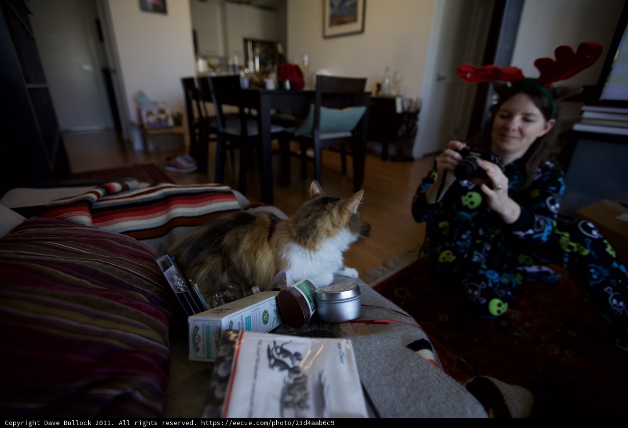 Home Sweet Home: A December Afternoon