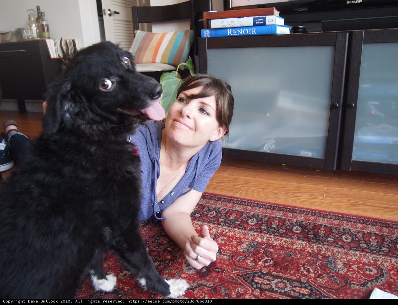 Woman and Playful Black Dog Share a Moment