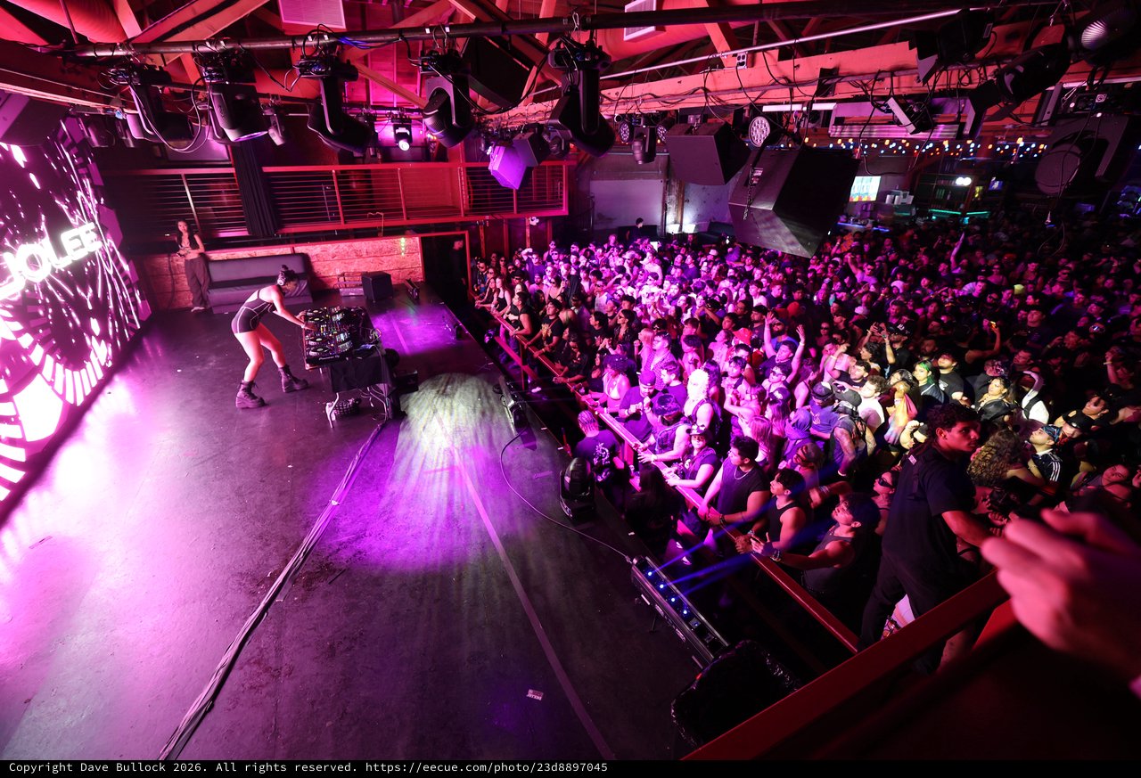 Packed Club Crowd Surges at Wobbleland 2026