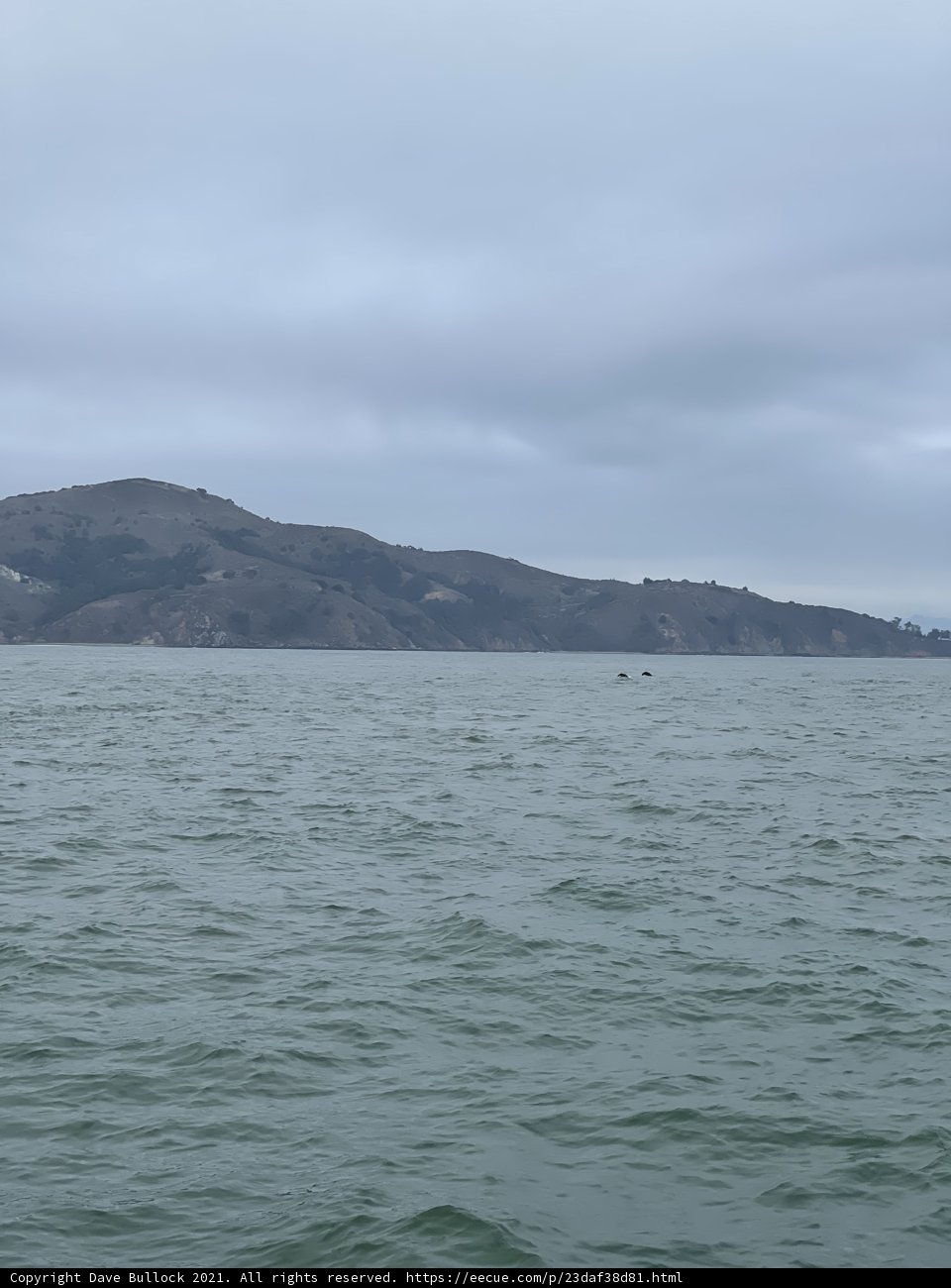 Serene Waters with a Majestic View of the Mountain