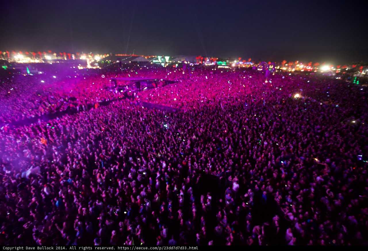 Electric Nights at Coachella
