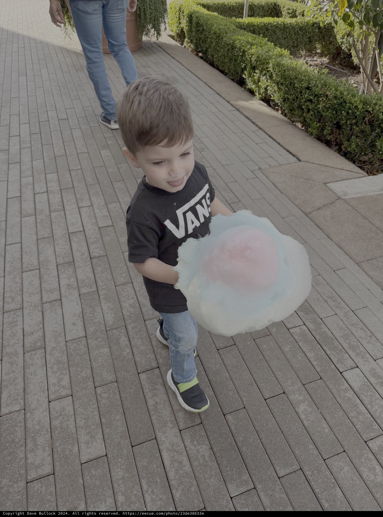 Young Boy Enjoying Cotton Candy Outdoors