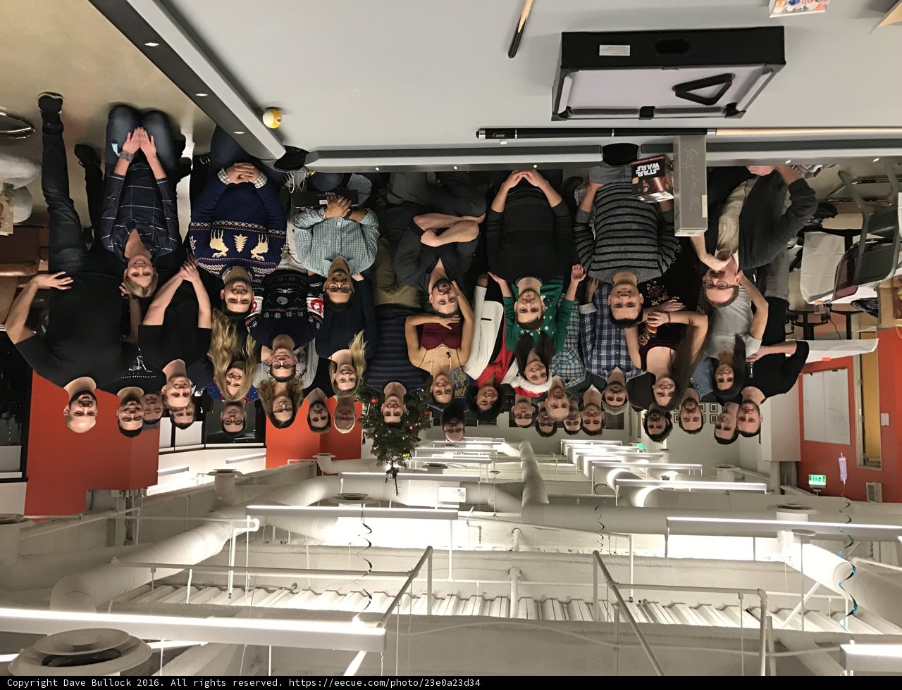 Group Photo in Los Angeles Office