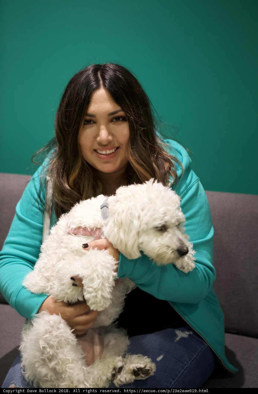 The Happy Woman and Her White Poodle