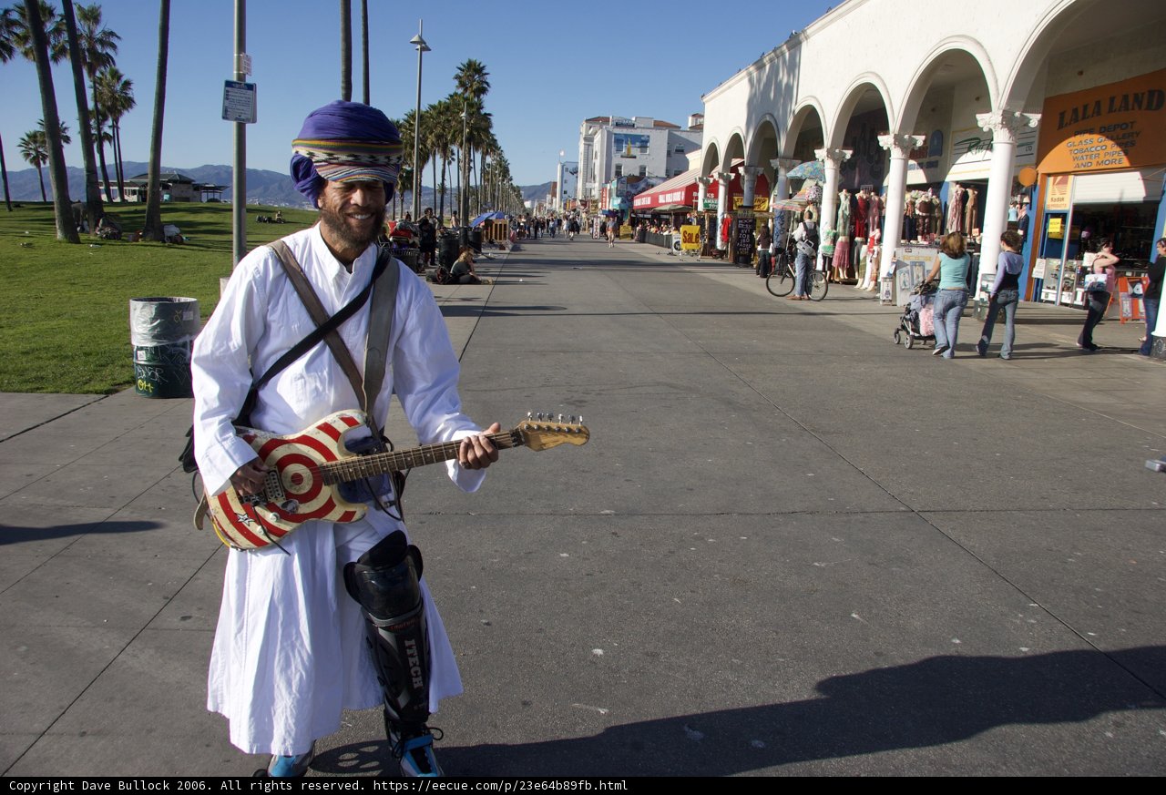 The Guitarist by the Roadside