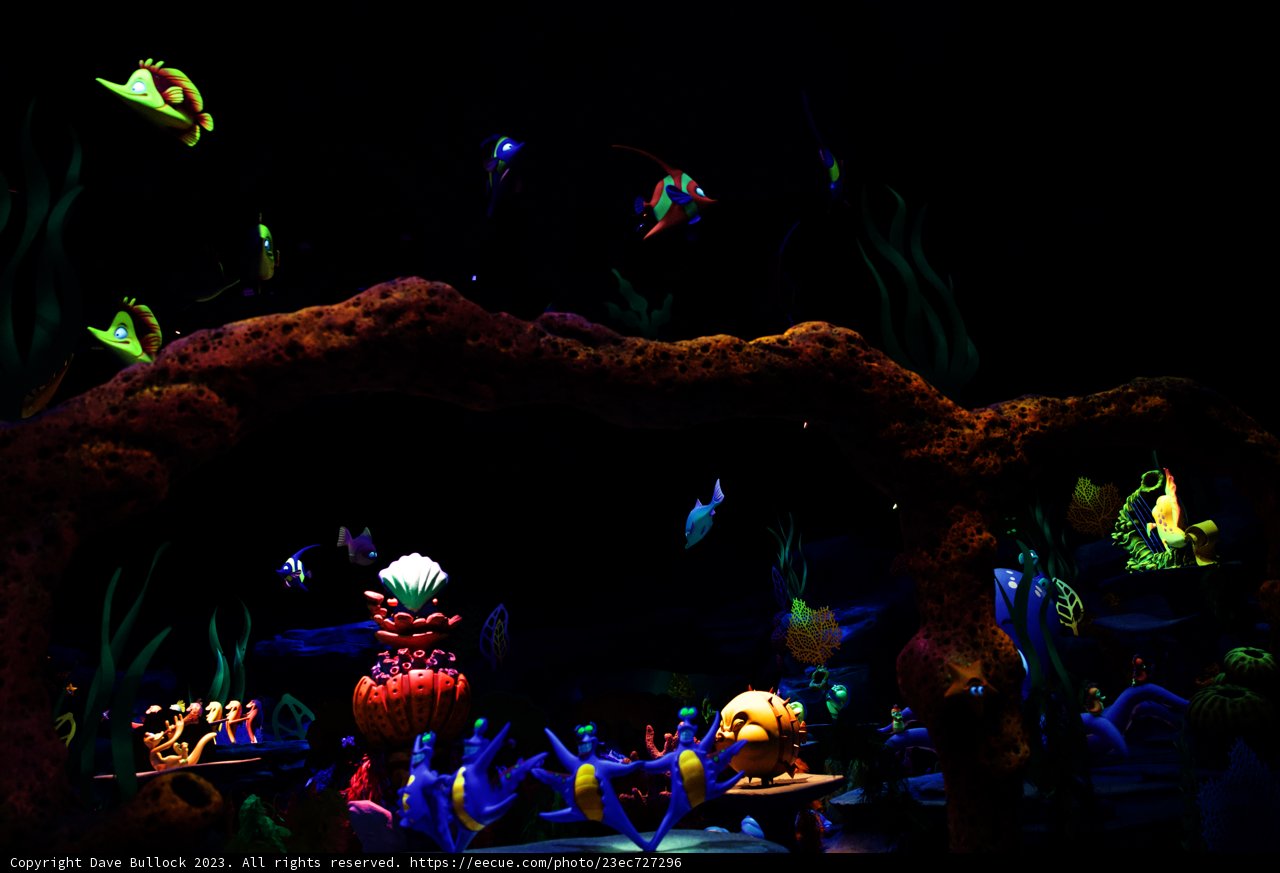 Magical Underwater Adventure at Disneyland