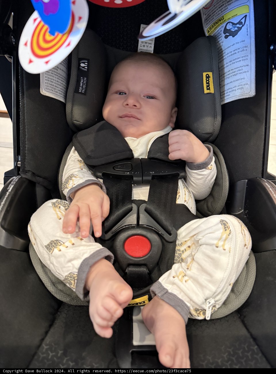 Cozy Travels with Leland