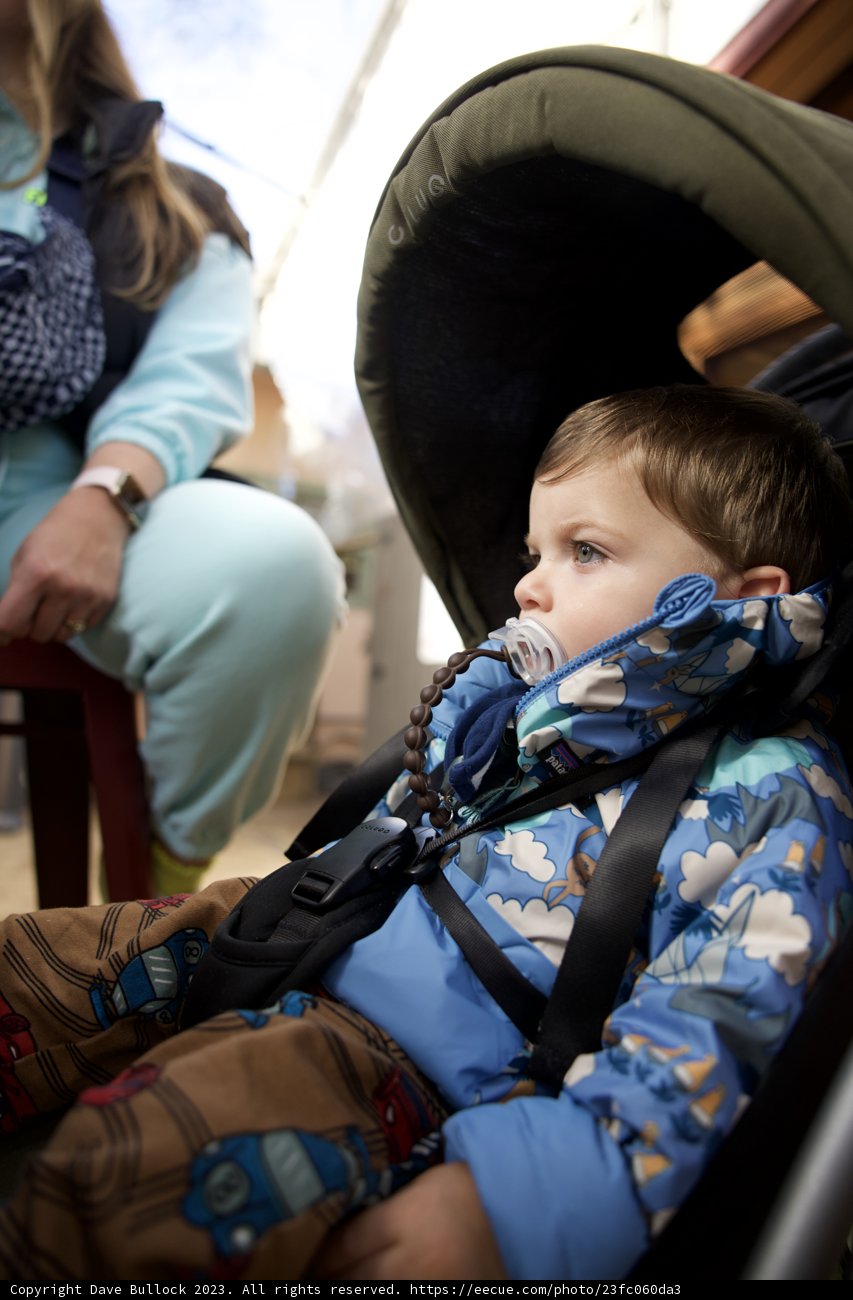 Cherished Moments in Downtown Sonoma