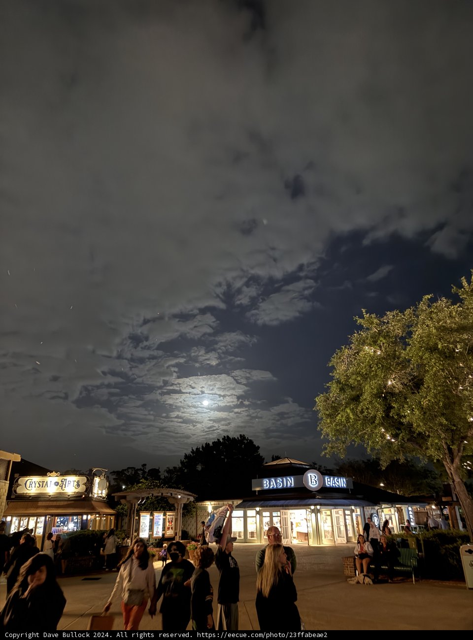 Moonlit Evening at Disney Springs