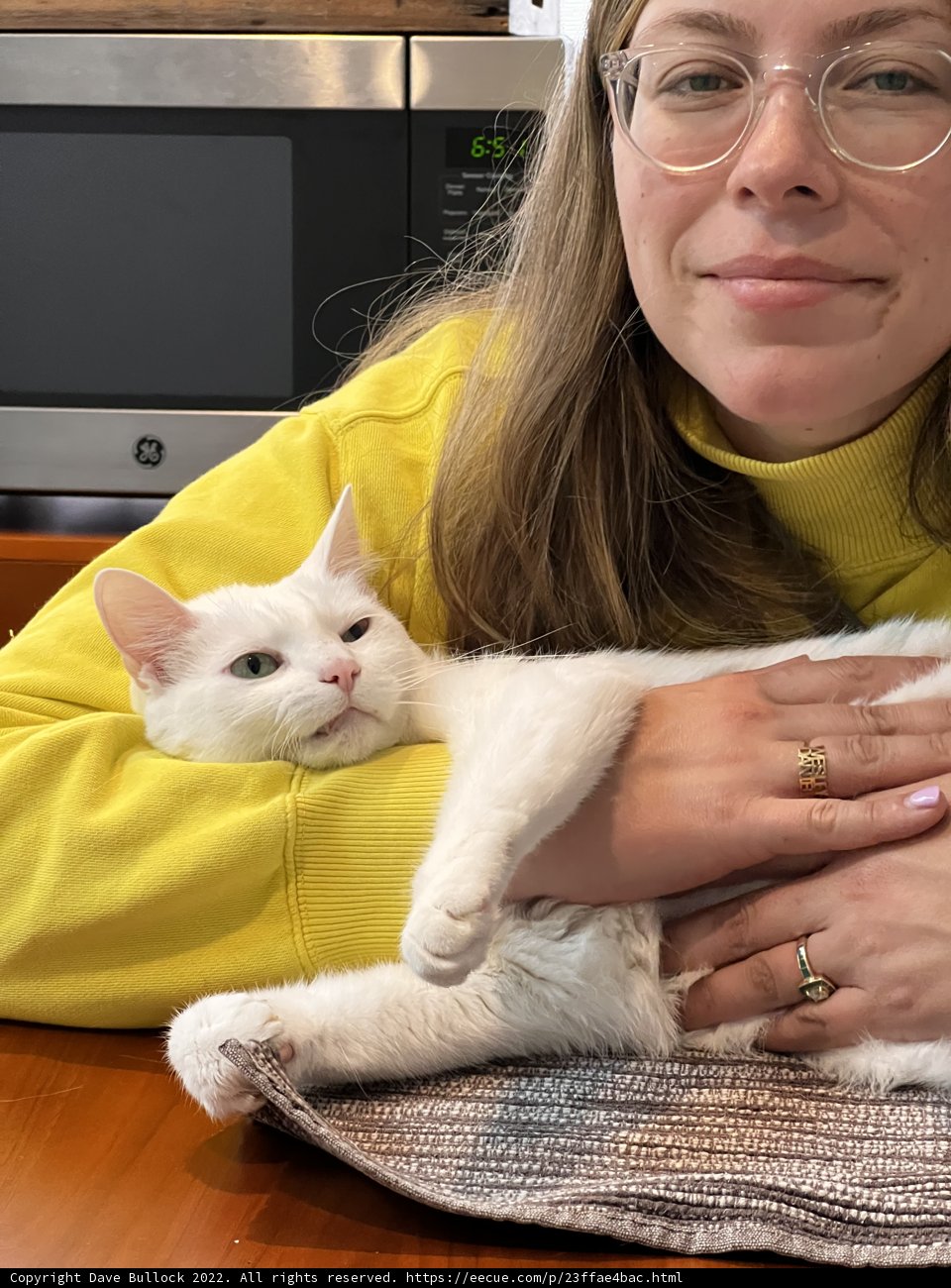 Feline Love on Display