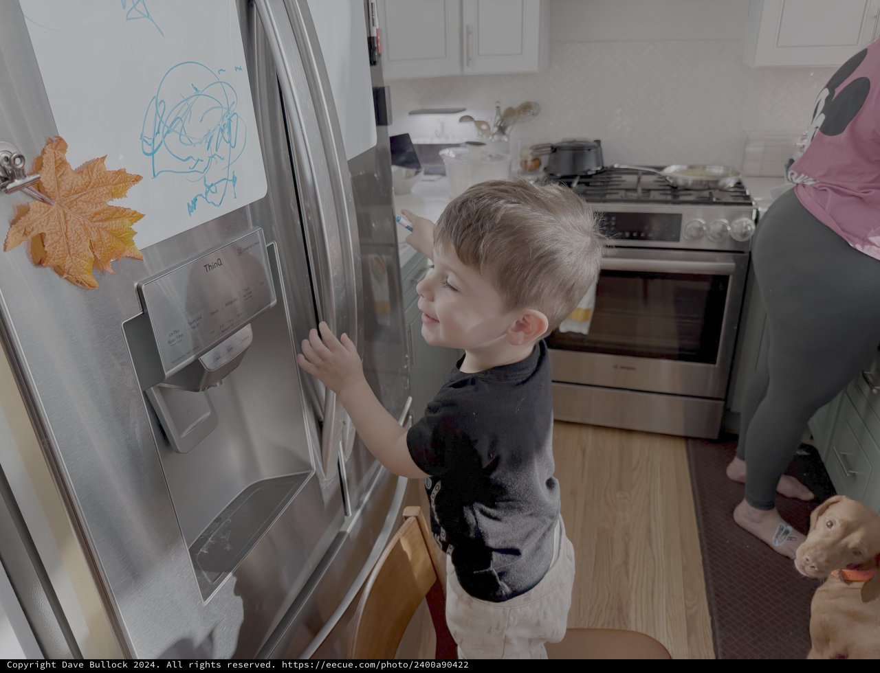 Toddler Exploring Kitchen Refrigerator at Home