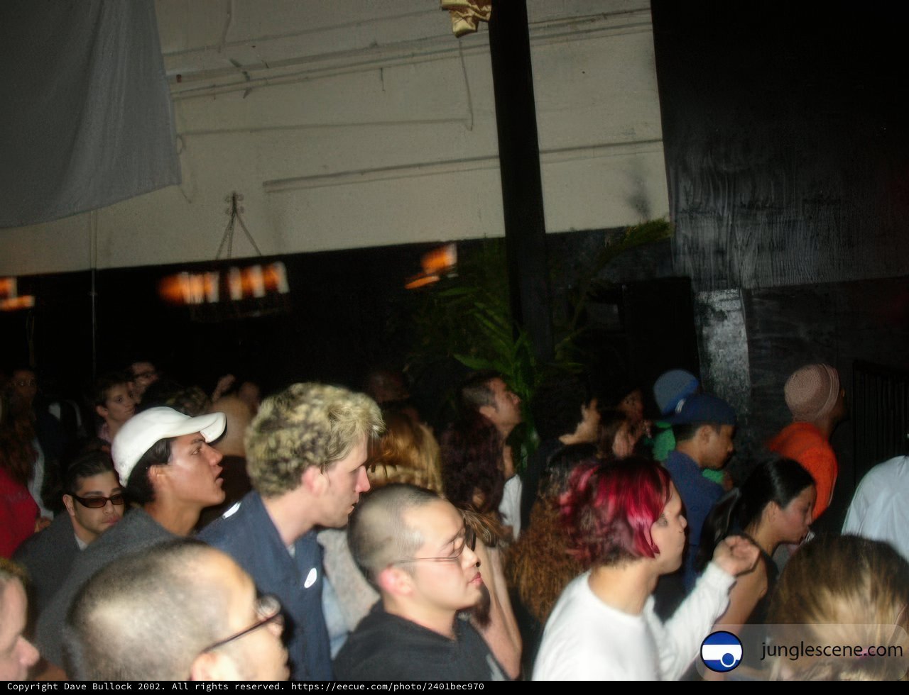 Nightclub Crowd
