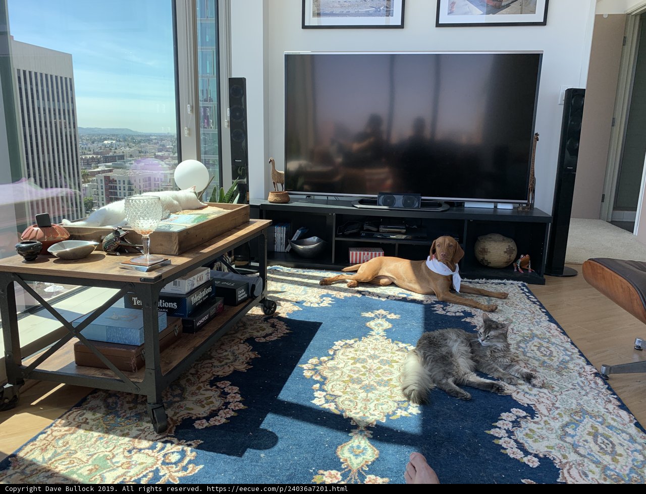 Cozy Living Room Scene