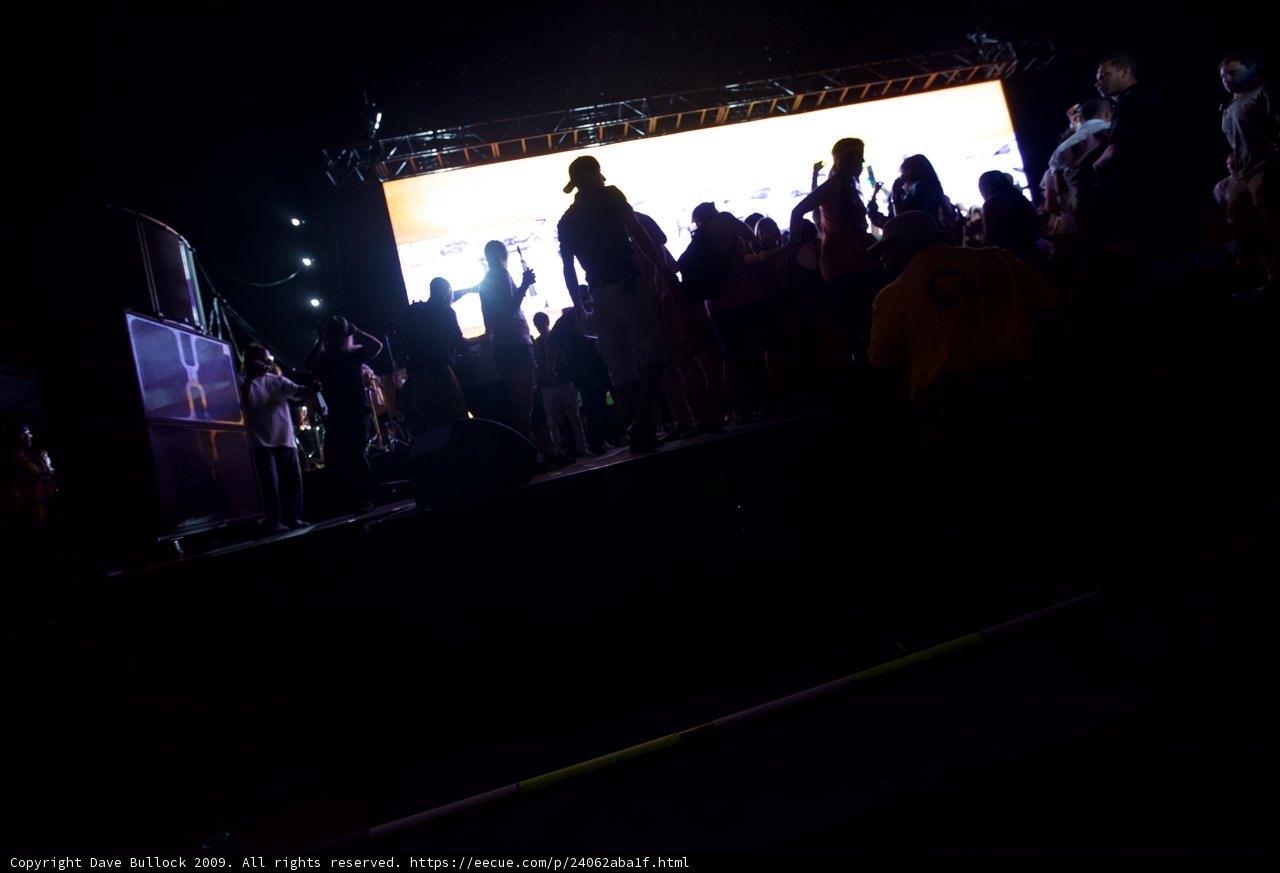 Coachella 2009 - The Electric Crowd