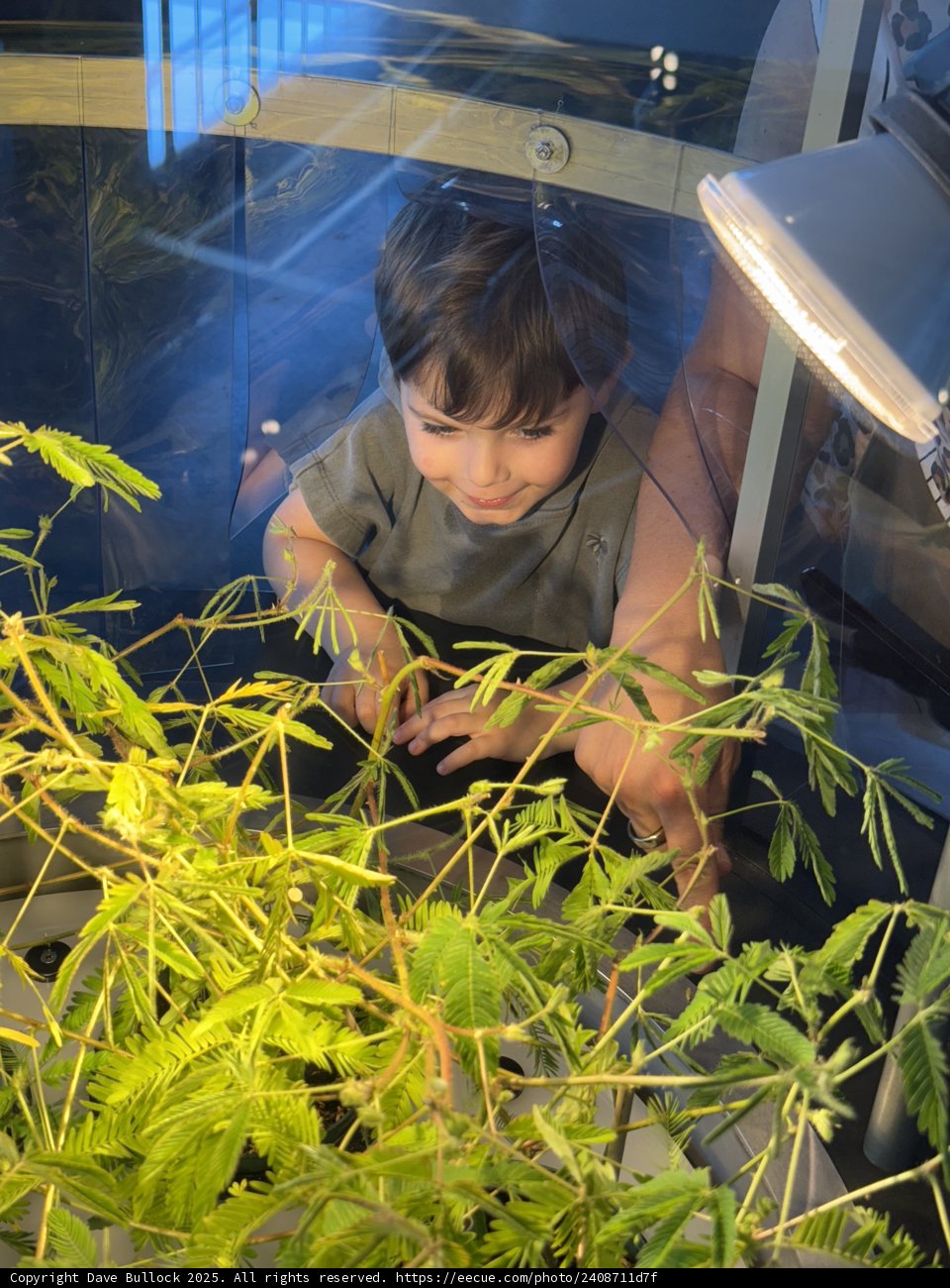 Nature's Wonder Through Young Eyes