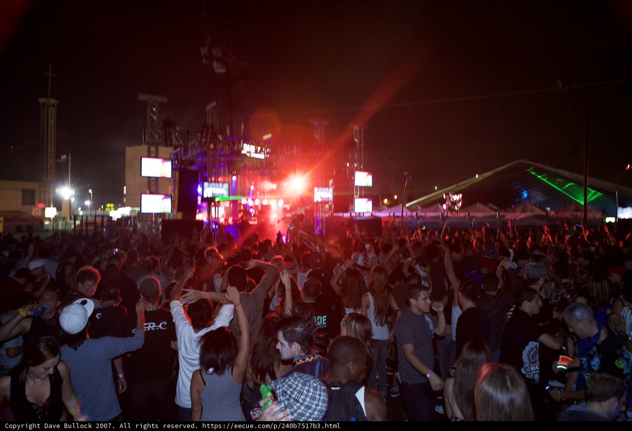 Nocturnal Revelry