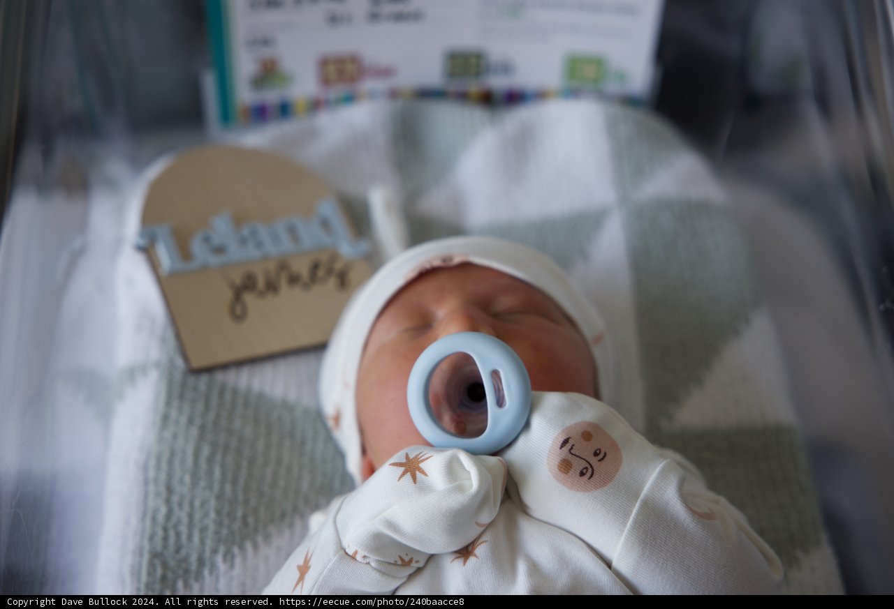 Welcome to the World, Leland