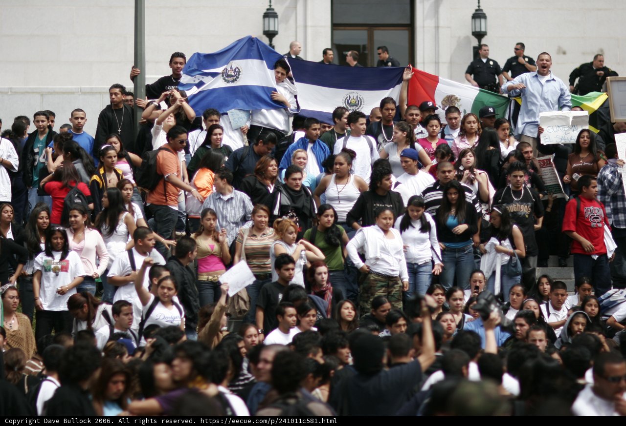 School Walkout Protesters Unite in a Sea of Flags and Faces