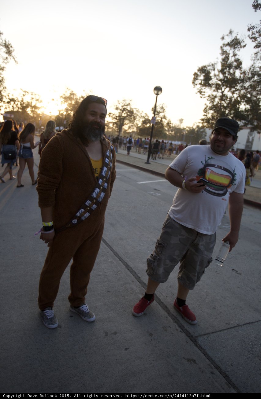 Chewbacca and Friend