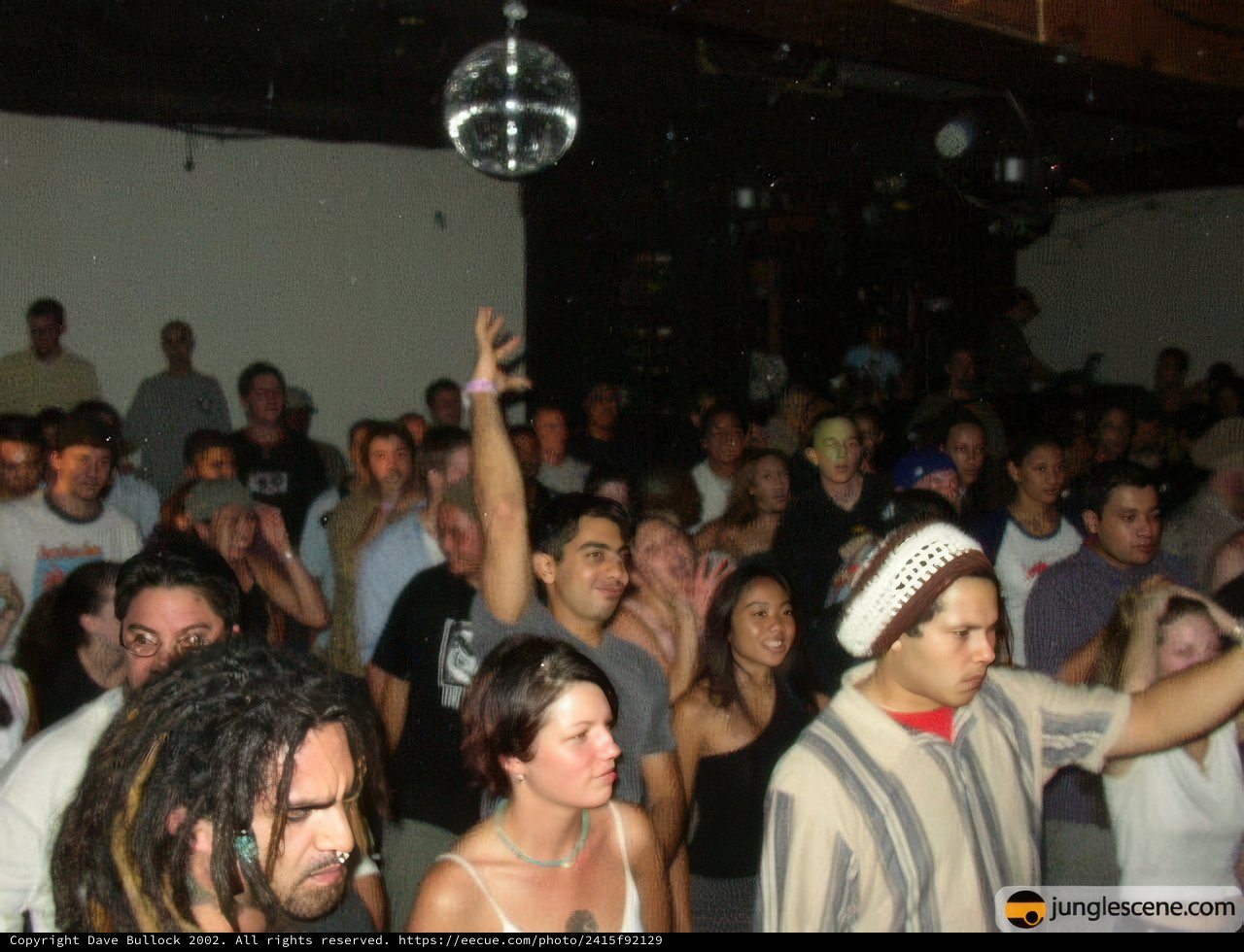 Nightclub Party Fun