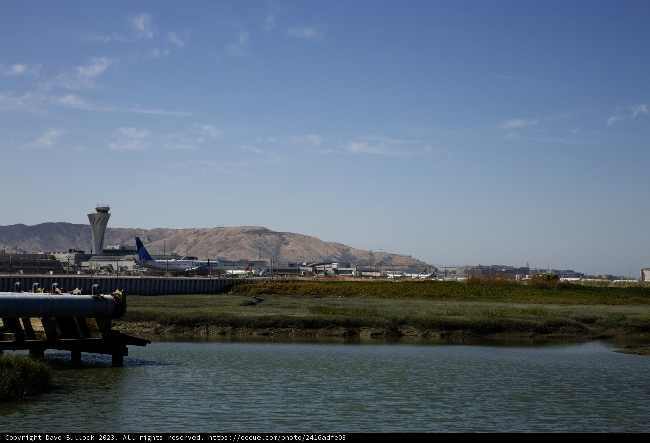 Birds' Landing at Bayfront Park, Millbrae