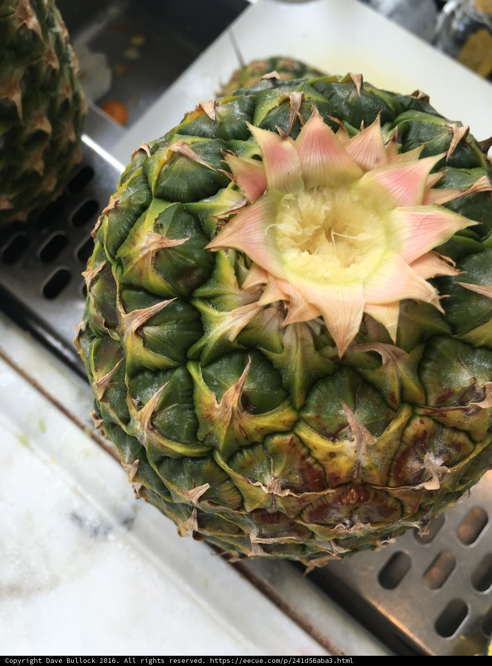 Pineapple Blossom