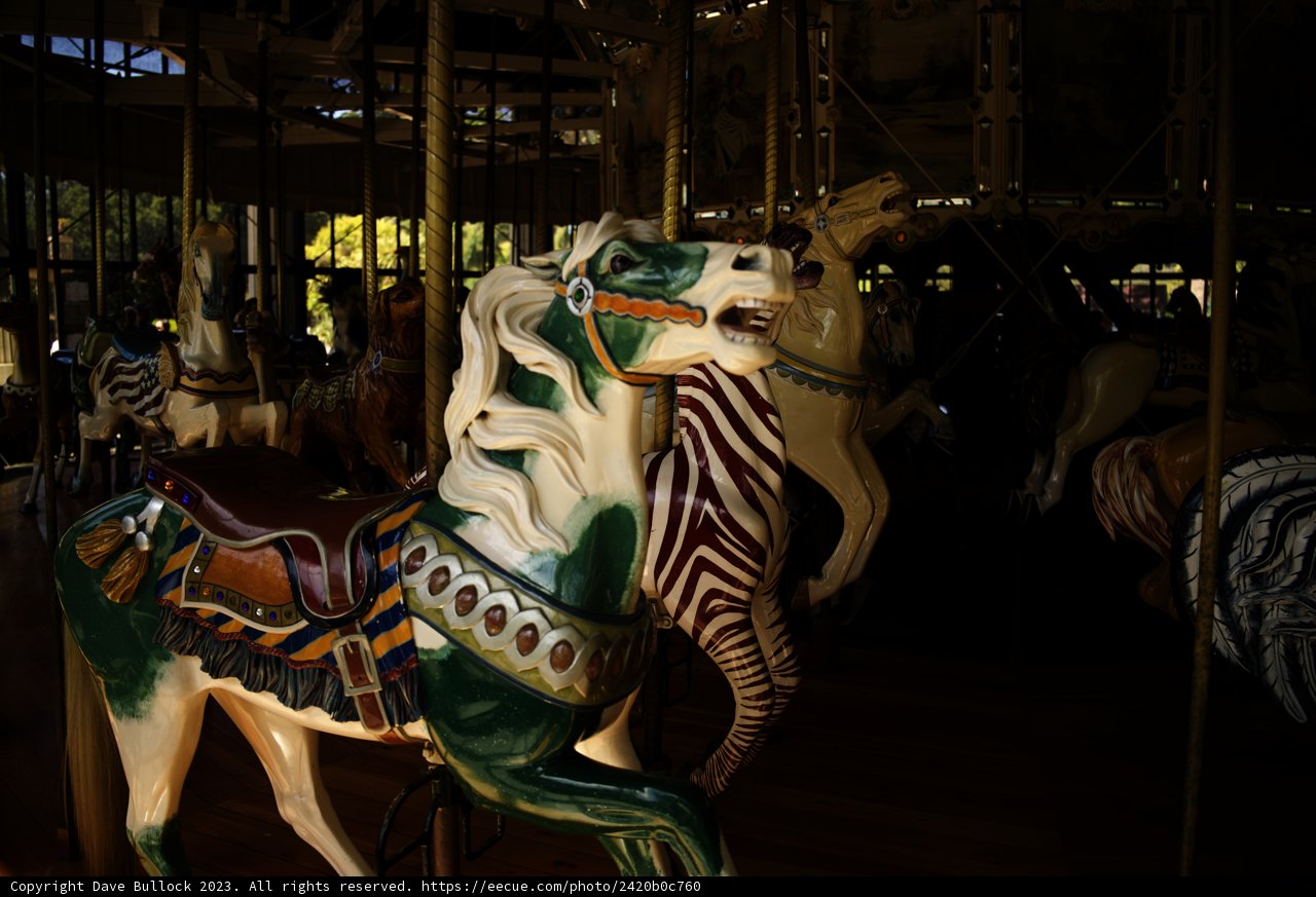 2023 Golden Gate Park Carousel: The Majestic Ride