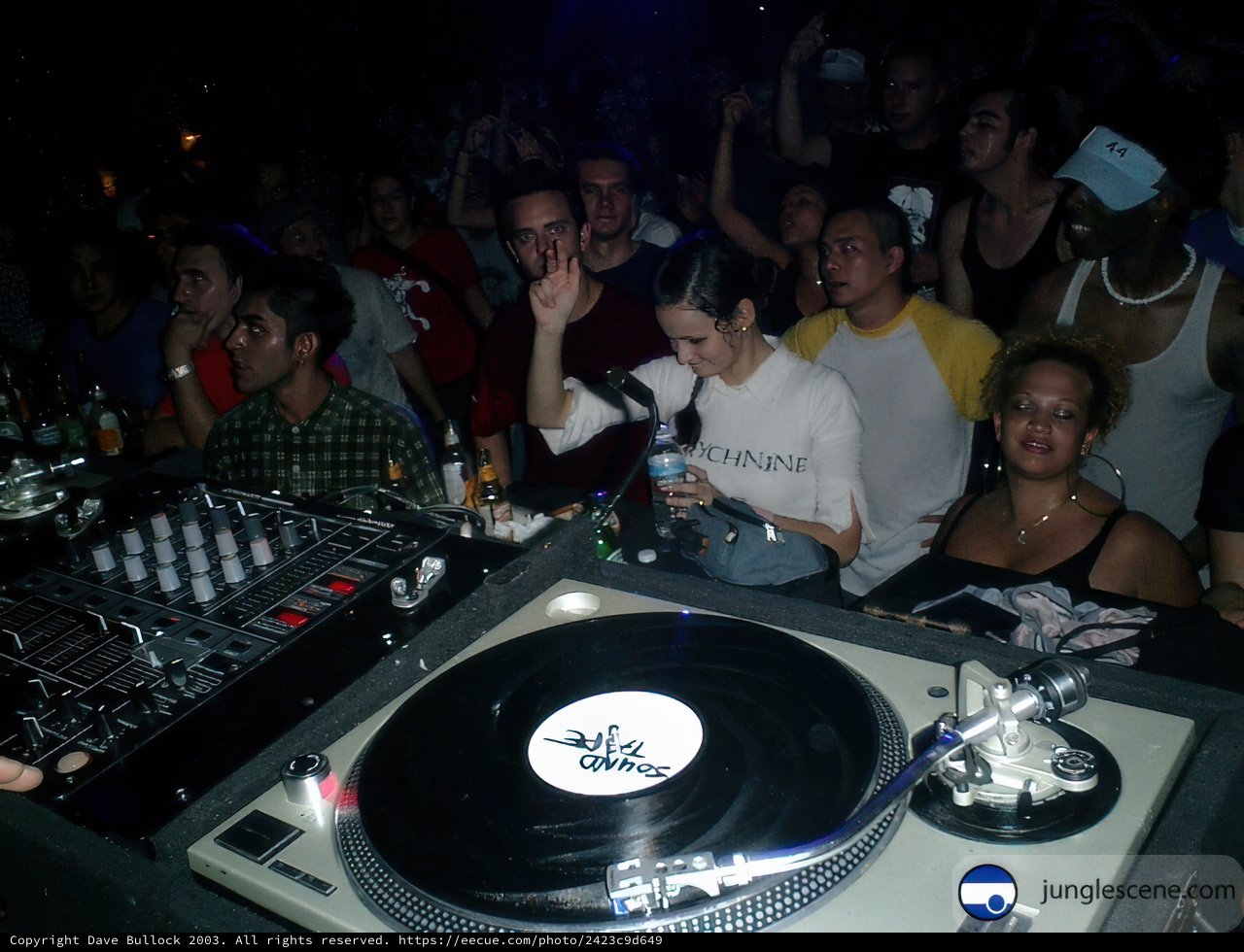 Party Rockin' with the DJ