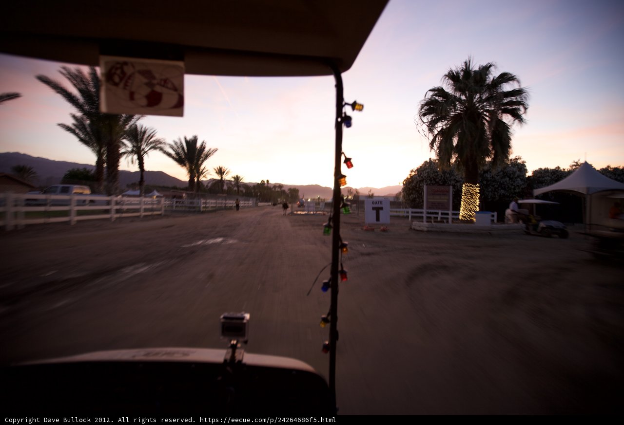 Sunset Drive through Palm Trees