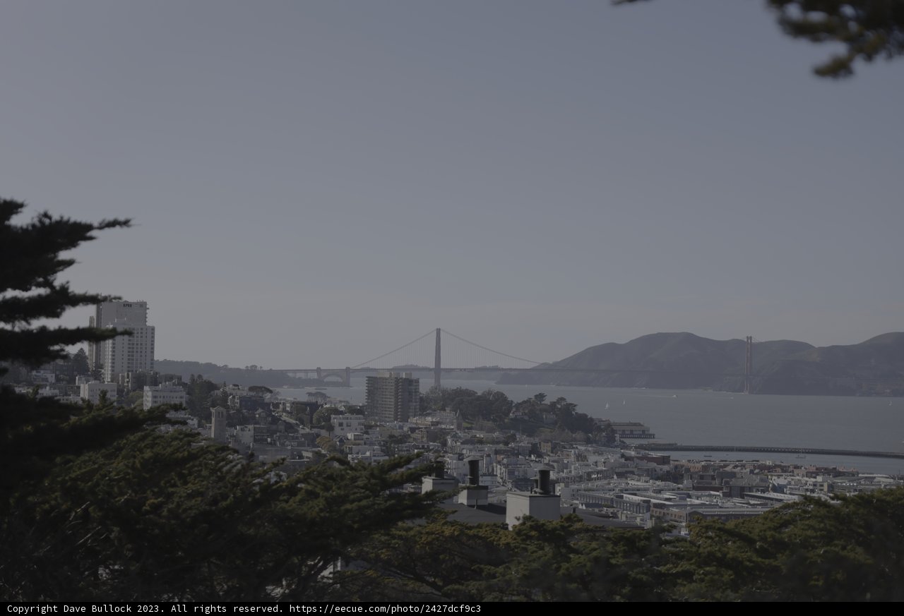 Overlooking the City by the Bay