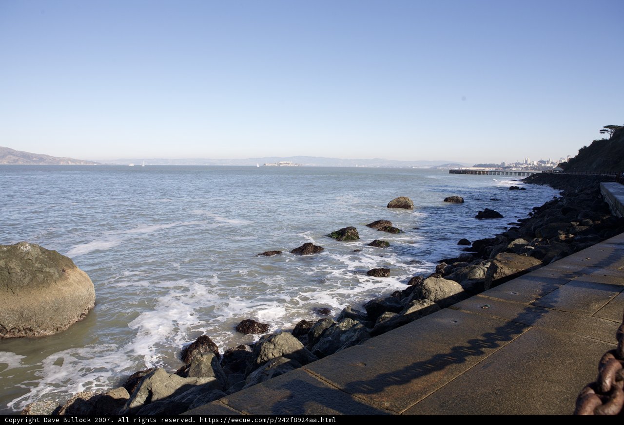 Serene Ocean View