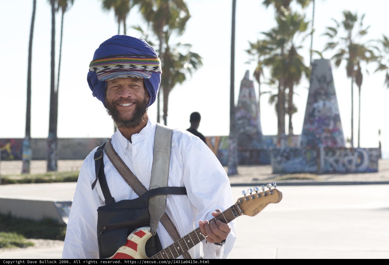 Jamming under the Palm Tree