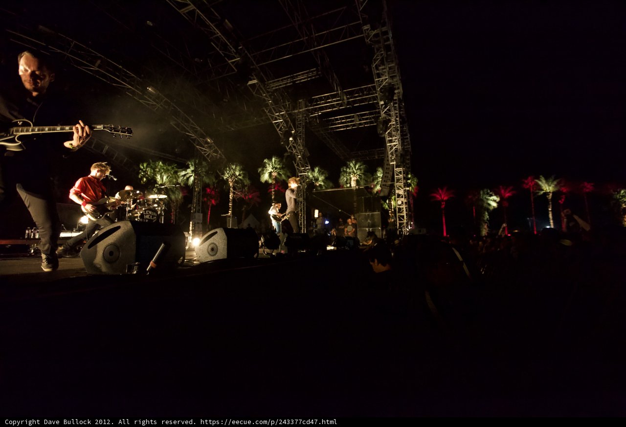 Night Performance with Palm Trees