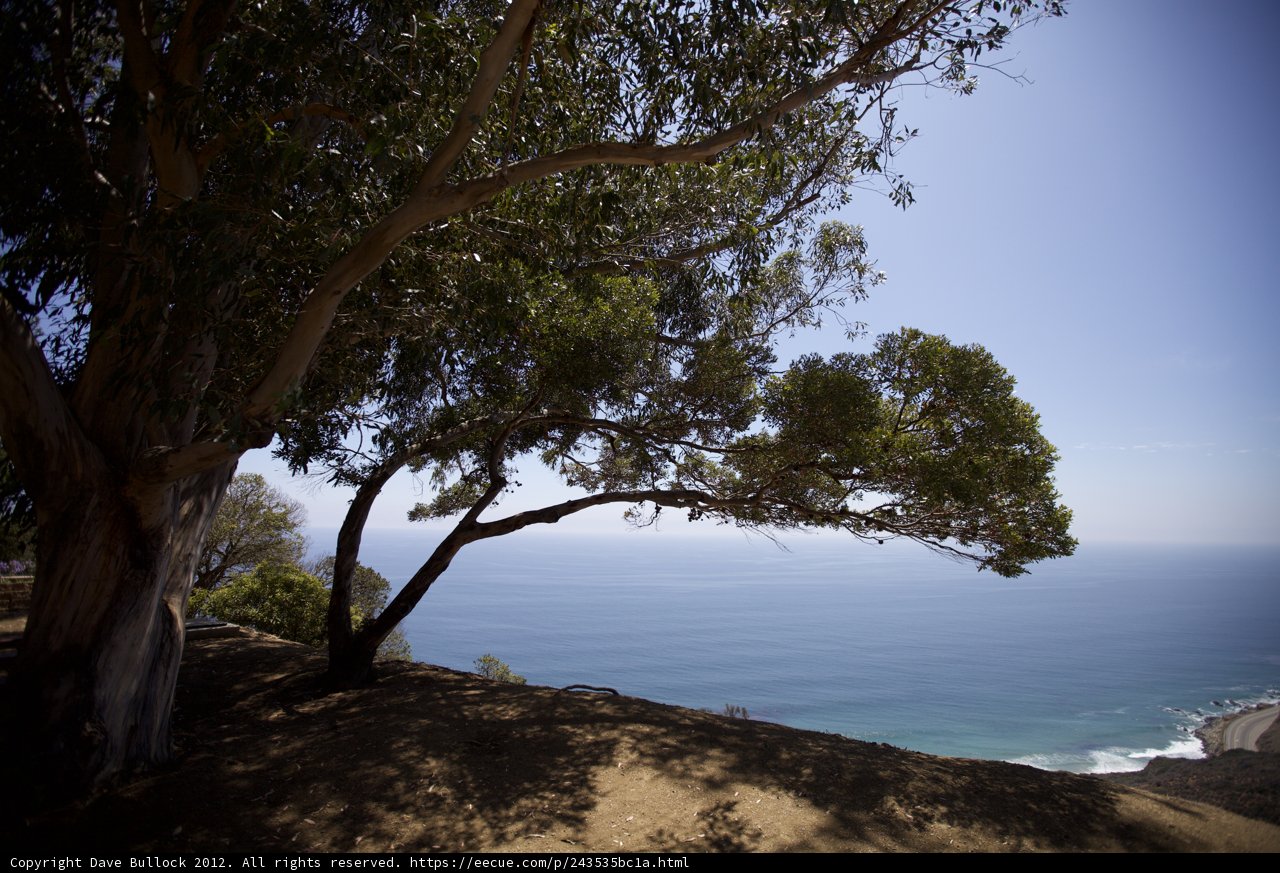 Solitude on the Promontory