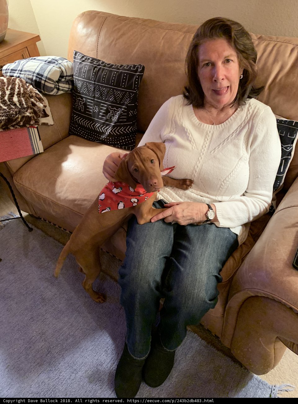 Comfortable with my furry buddy