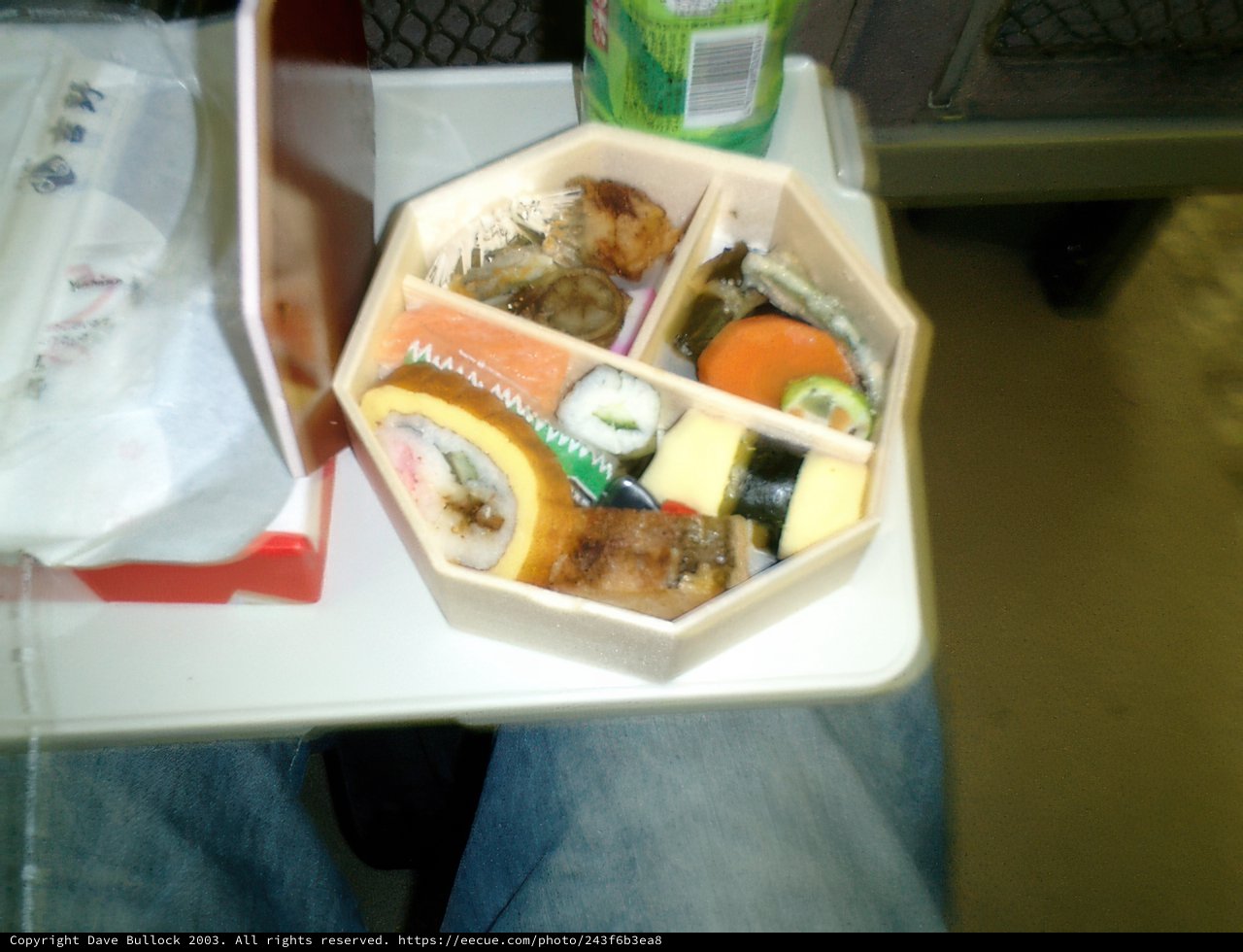 On-the-Go Japanese Lunch