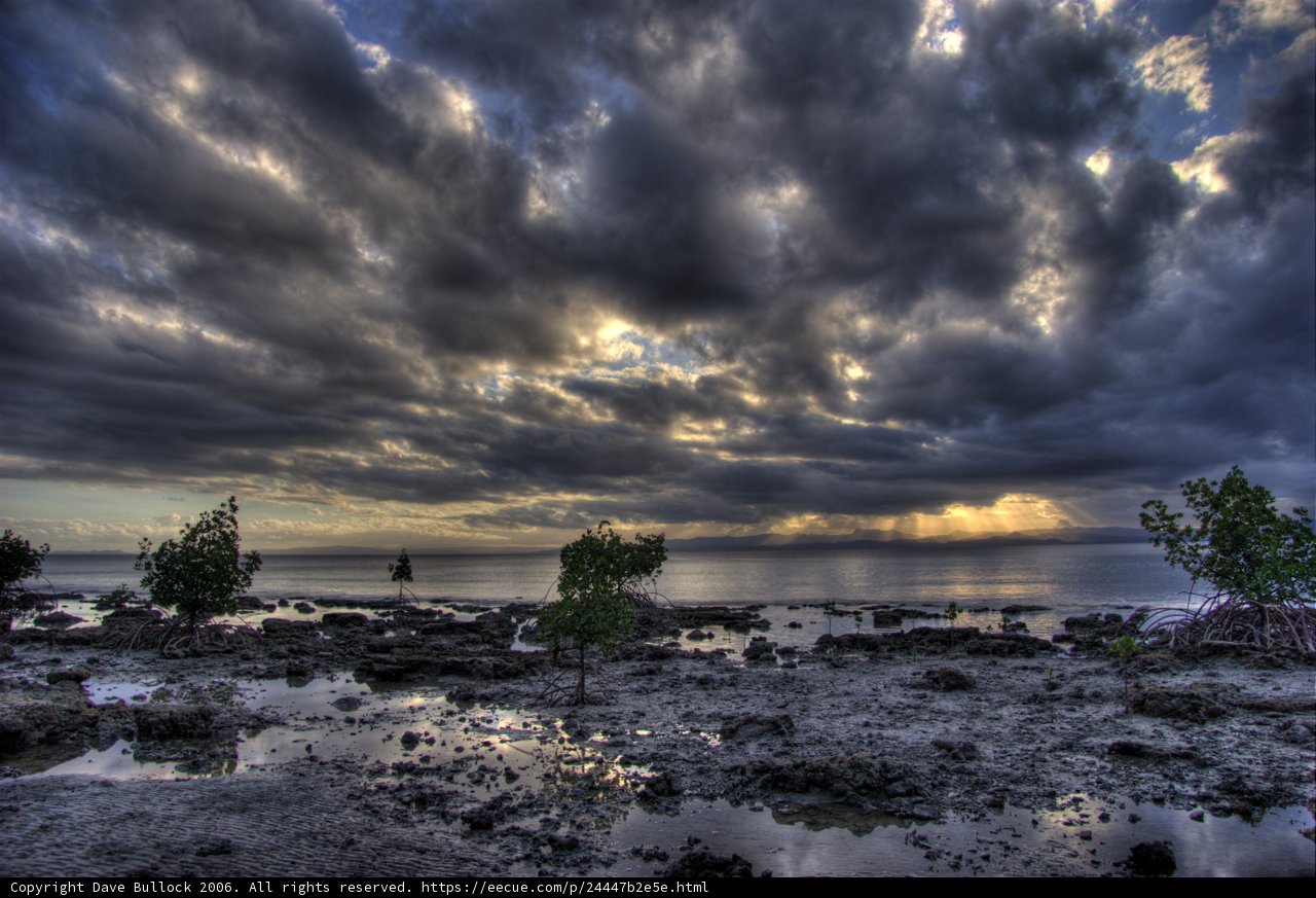 Moody Skies
