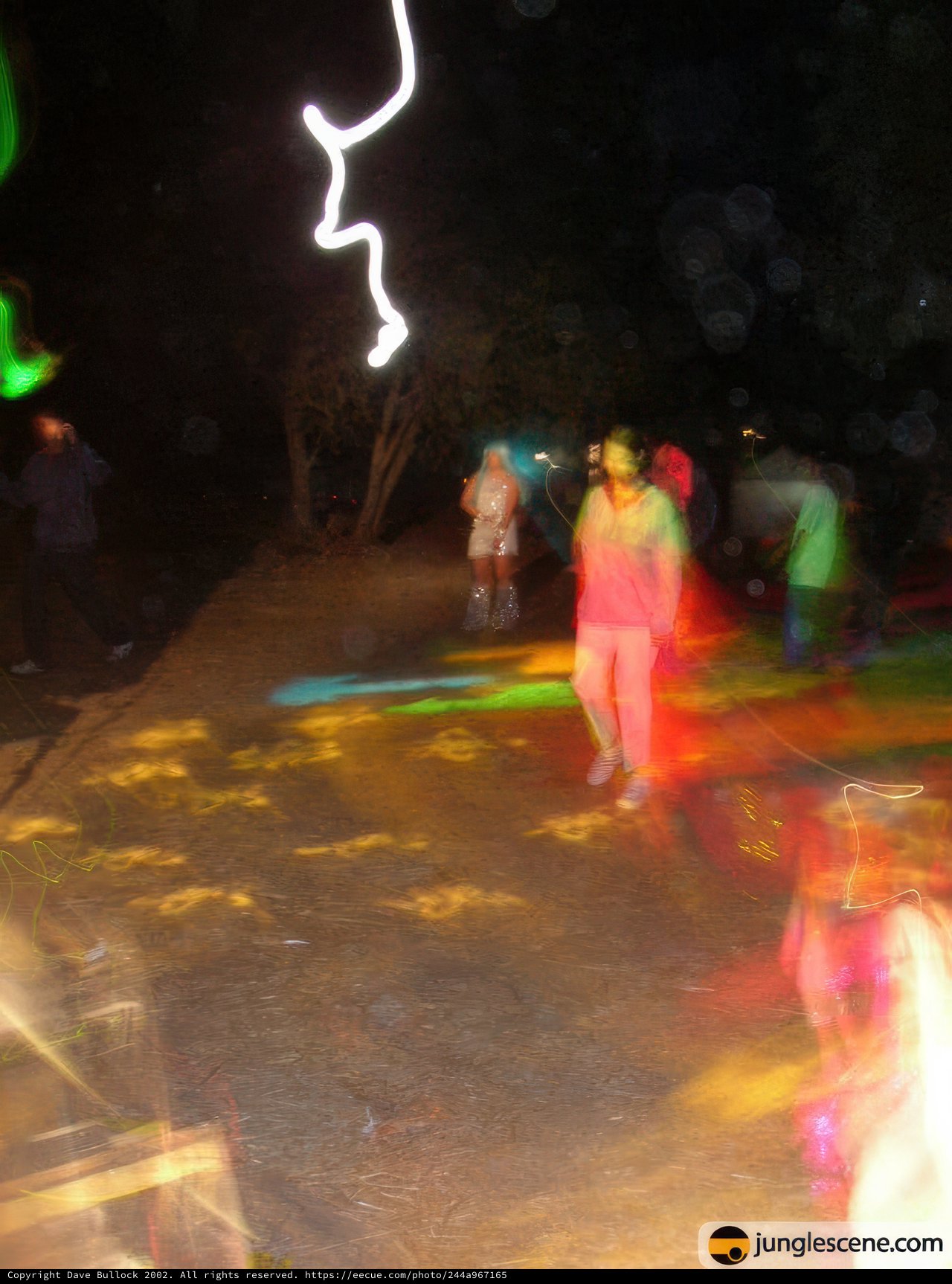 Illuminated Midnight Walk