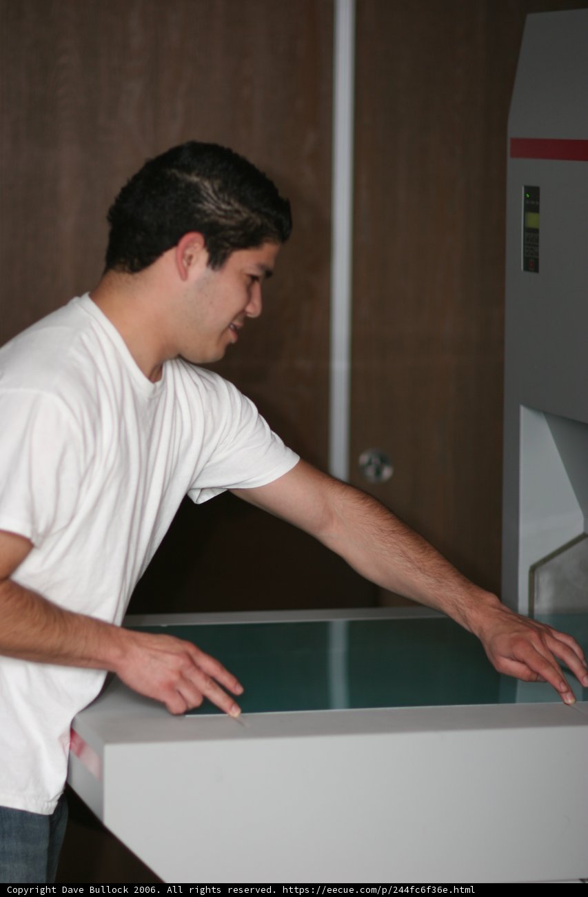 The White T-Shirt